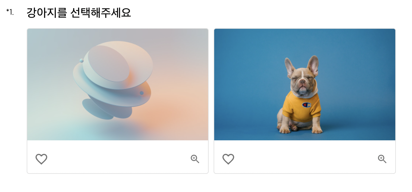 이미지 단일선택형